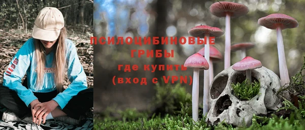 индика Алексеевка