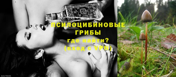 индика Алексеевка