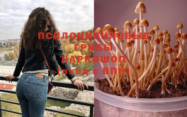 Альфа ПВП Няндома