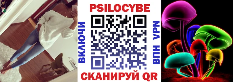 Псилоцибиновые грибы Psilocybine cubensis  Амурск 